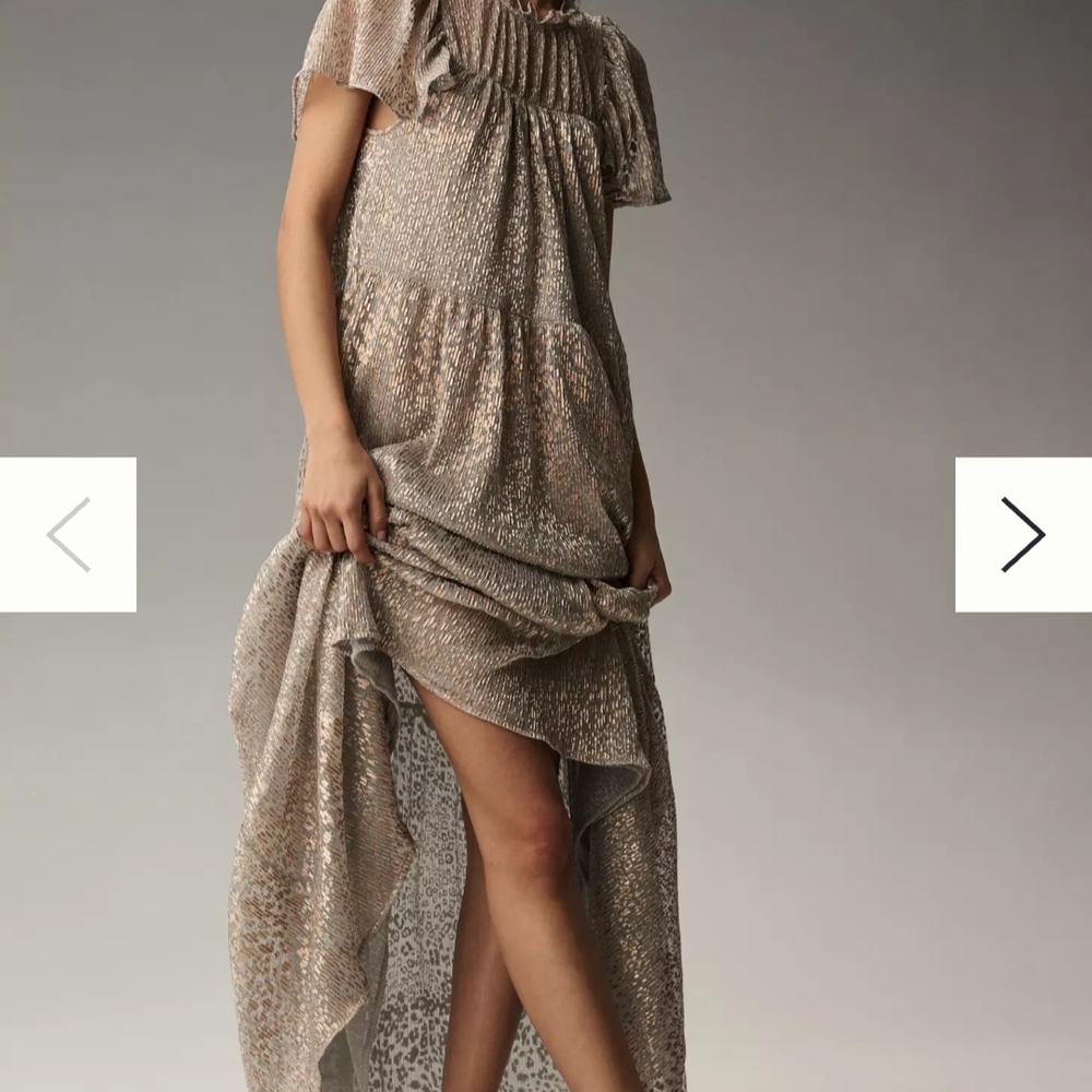 Anthropologie Shimmery Taupe Maxi Dress